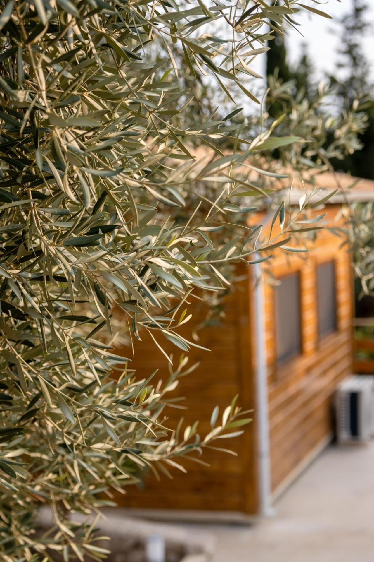 Agrelia Homes 2 Dragano Εξωτερικό φωτογραφία